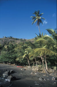 Green Globetrotter: St. Vincent and the Grenadines Image